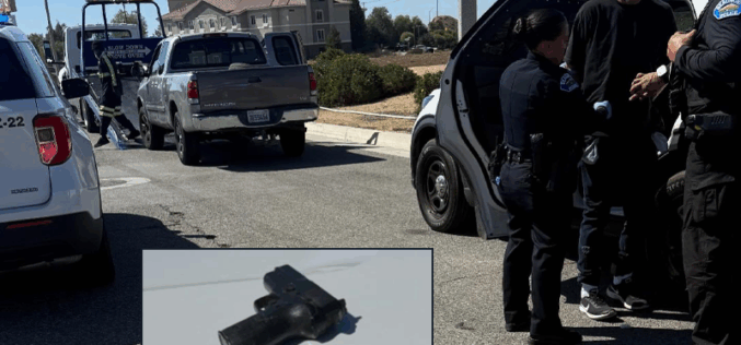 Traffic Stop Leads to Narcotics Arrest and Seizure of Replica Firearm