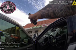 “Rollin’ Stolen” Driver Out on Bail Arrested Again in New Stolen Car Case