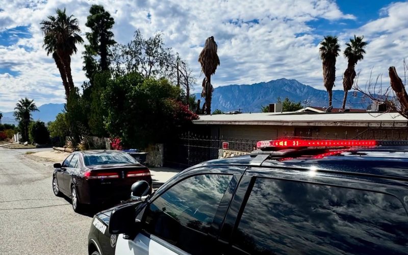 Suspect Arrested in Desert Hot Springs Grand Theft, Vandalism Cases