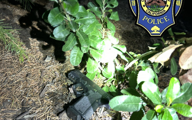 Woman Arrested for Multiple Firearms Offenses at a Parking Lot