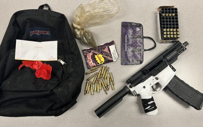 Watsonville Police Chief Apprehends Fleeing Gang Member After Pursuit