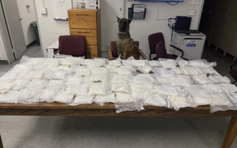 TCSO K9 ‘Turbo’ Detects 90 Pounds of Methamphetamine During Traffic Stop, Leads to Further Seizures
