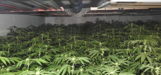 Authorities Reportedly Seize 46 Pounds of Processed Cannabis from Illegal Indoor Grow Site in Mokelumne Hill