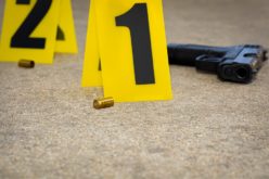 Fatal Shooting at Empire Halloween Party Under Investigation