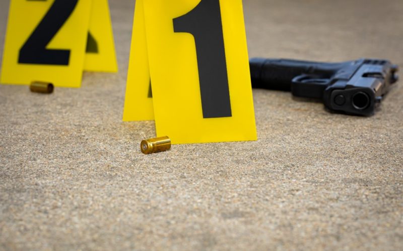 Fatal Shooting at Empire Halloween Party Under Investigation